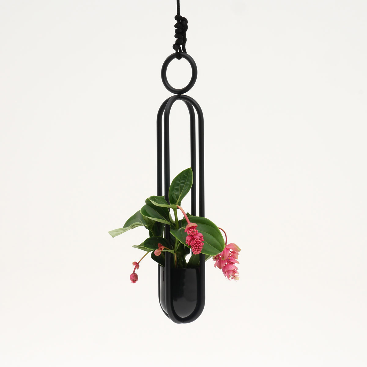 Atelier Haußmann Blumenampel