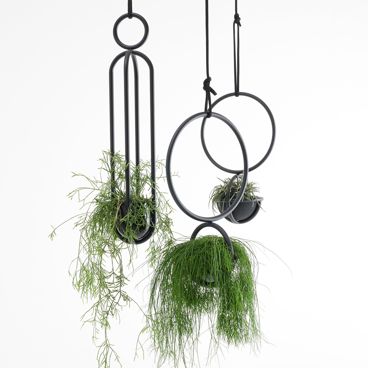 Atelier Haußmann Blumenampel – Bild 3