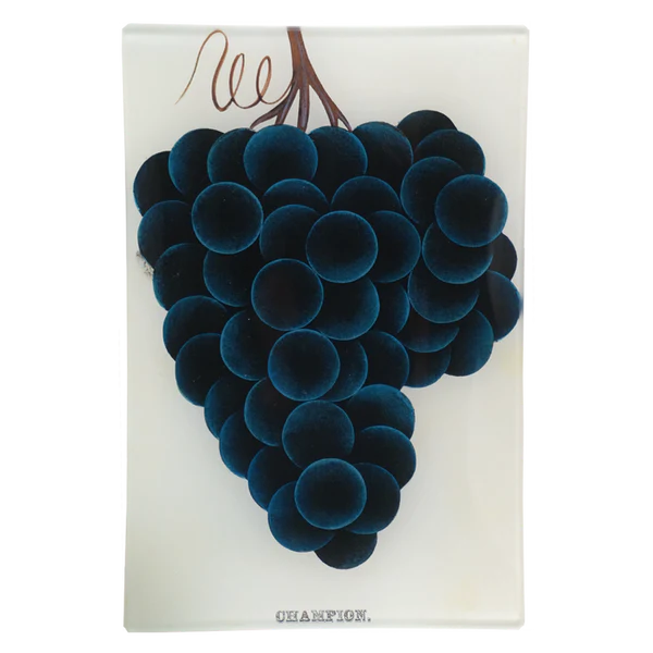 John Derian dekorativer Teller Grapes