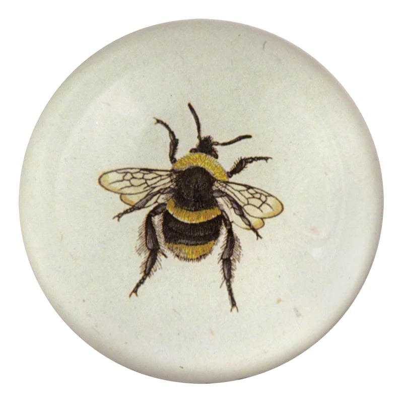 John Derian Briefbeschwerer // Dome Paperweight Bee