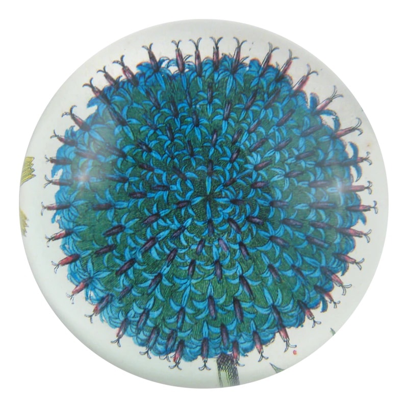 John Derian Briefbeschwerer // Dome Paperweight Blue Flower