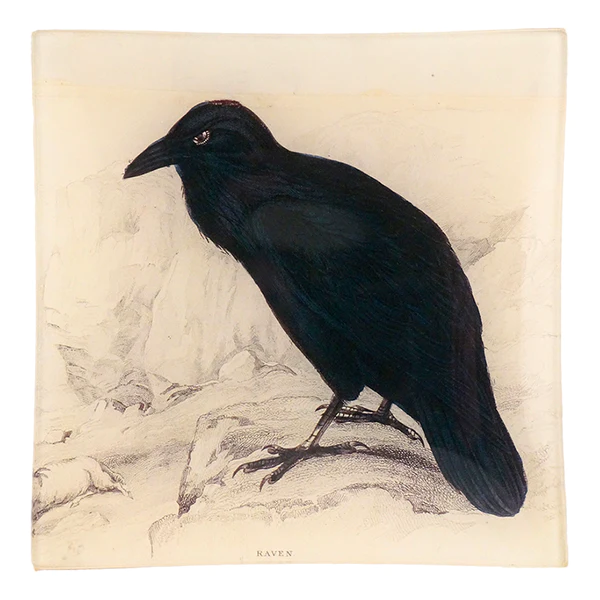 John Derian dekorativer Teller Raven