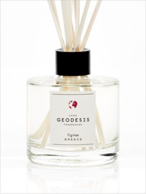 Geodesis Diffuser
