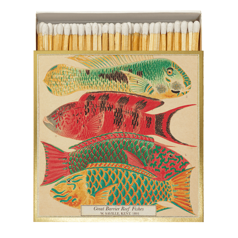 Archivist // Matches "Fish"
