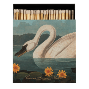 Archivist // Matches "Swan"