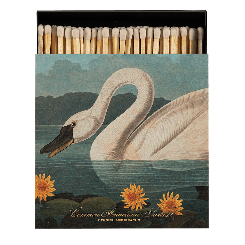 Archivist // Matches "Swan"
